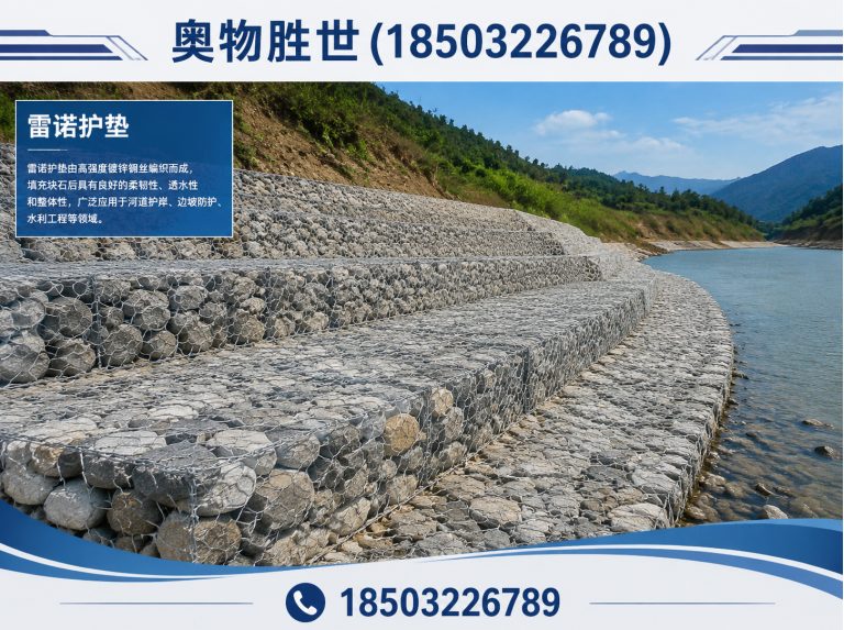 铜川雷诺护垫展示图